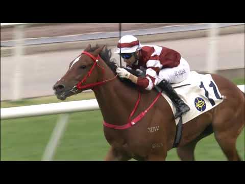 10/1/2021 (332) Sight Success - J Moreira (Easy win in class 3)