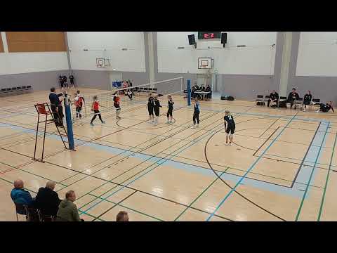 Passarit N2- Vehniän Wartti