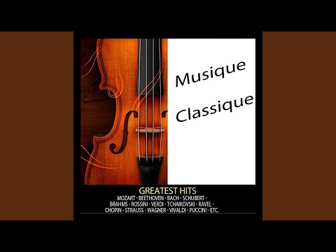 La chauve-souris : Ouverture