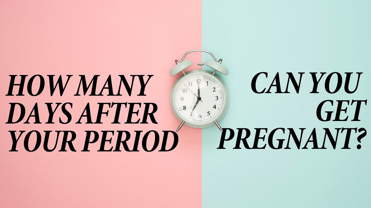 How fertile are you 4 days after your period?