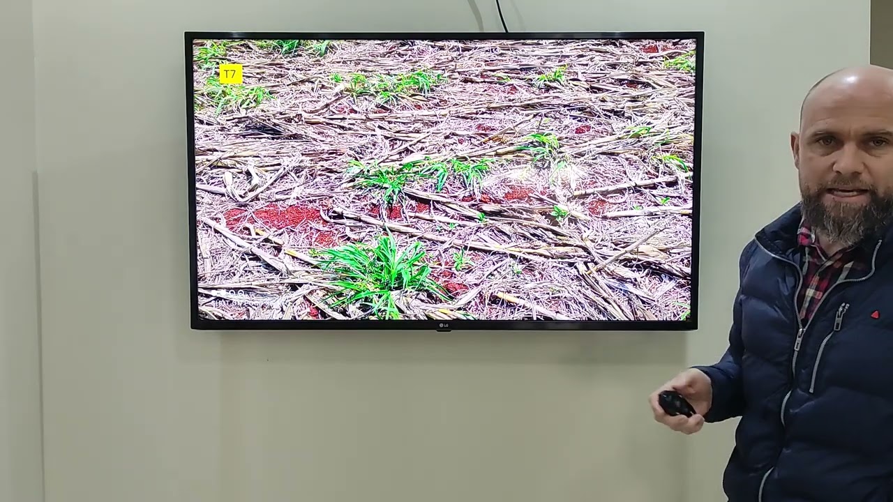 Herbicidas pré emergentes no controle da buva!!