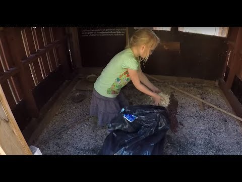 Eigene Einstreu aus Sägespänen / Hühnerfutter für umsonst