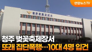 청주 벚꽃축제장서 또래 집단폭행…10대 4명 입건 / 연합뉴스TV (YonhapnewsTV)