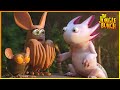 Stars Stone Jungle Bunch 20 Compilation Cartoon For Kids