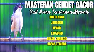 Download lagu MASTERAN CENDET GACOR ISIAN LOVEBIRD KENARI JANGKRIK KUNTILANAK CUCAK CUNGKOK KAPAS TEMBAK mp3