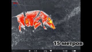 Тепловизоры для охоты и рыбалки