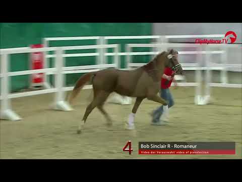 04 Junghengst v. Bob Sinclair - Ramoneur