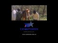 YTV X2 Crawfords AU Protocol Ent CA Tax Credit CA TV Fund Eaton Discovery Kids ABC AU 2002 3