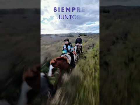 Cabalgata en el Arequita… ¡Impresionante! 🐎🔥#Viajes360YZ #parati #travel #caballos #natureza