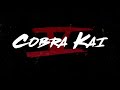 Cobra Kai Season 5 Episode 10 Johnny Fights Back music