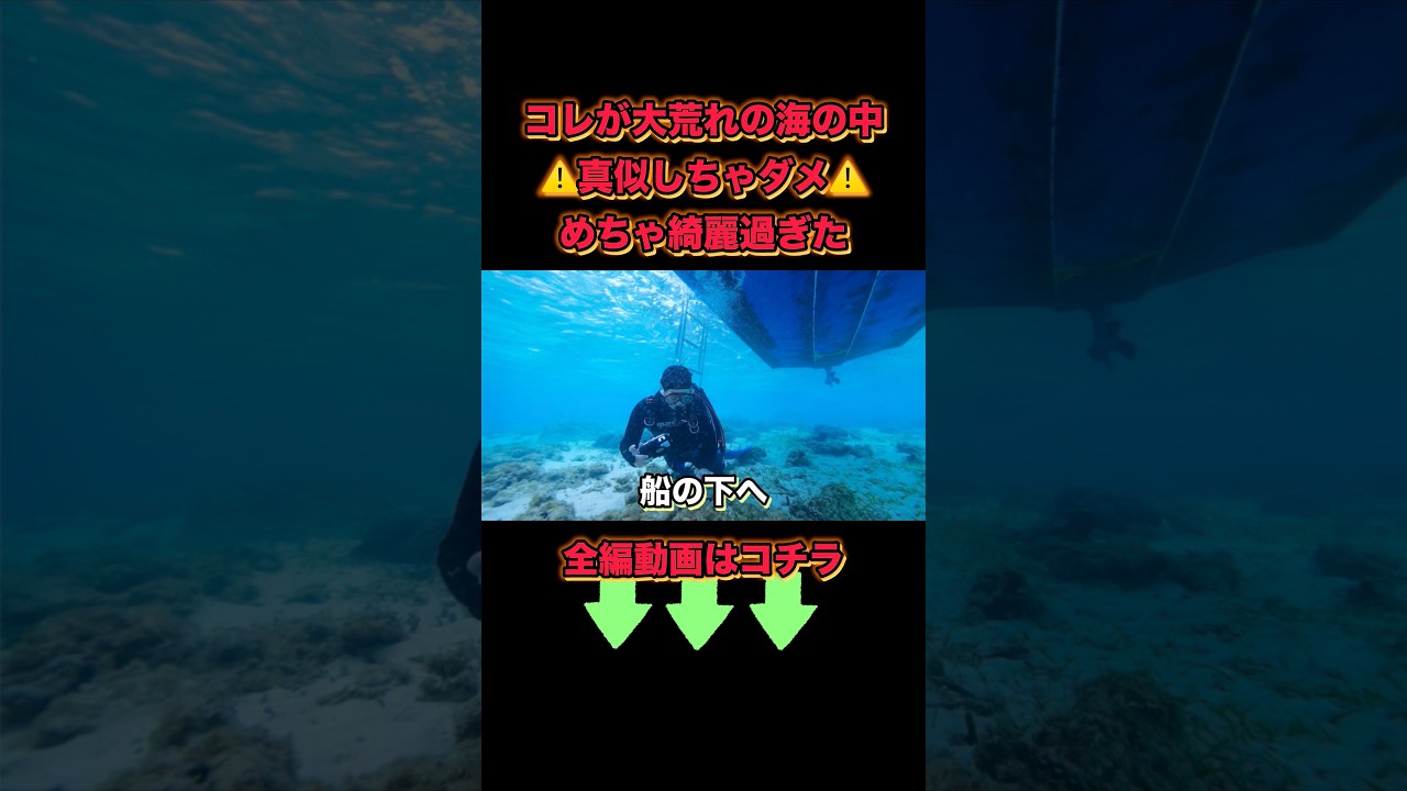 大荒れでも海の中は神秘的✨沖縄最強です✨ #濱口優 #よゐこ #水中写真