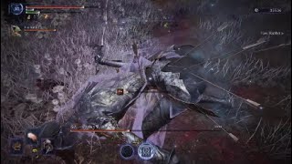 ナイトレイン 猫氏界隈ベストシーン