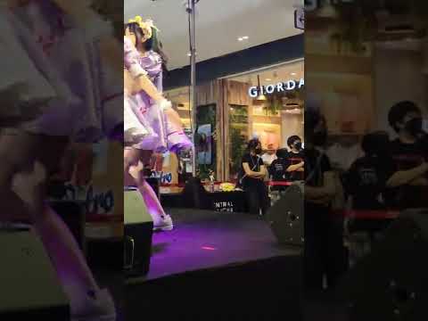 จือดื่อดึดจือ - Castella [Vasa Fancam] @ Japan Carnival (22/05/2022)