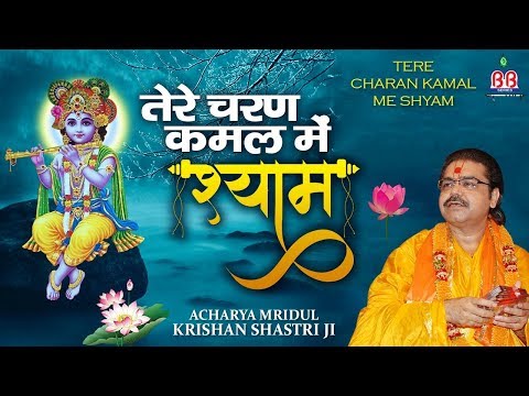 तेरे चरण कमल में श्याम - भजन