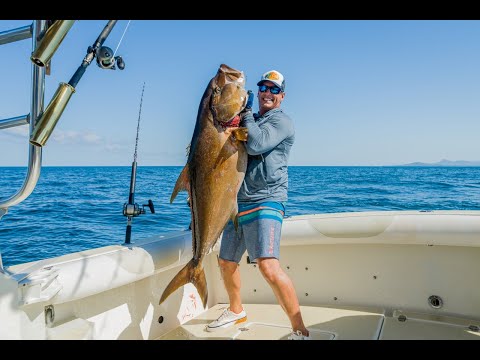 Giant Cubera Snapper, Giant Amberjack and a 100lb Yellowfin tuna in Riviera Nayarite, Mexico