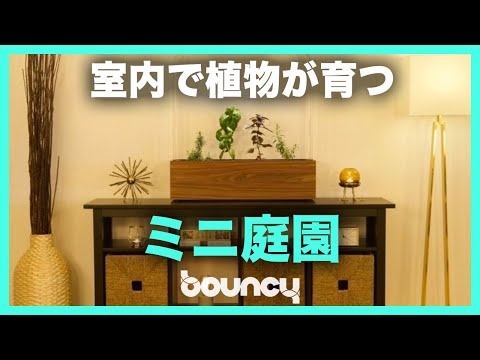 diviser-contenant-zones-plantes-aromatiques-différentes