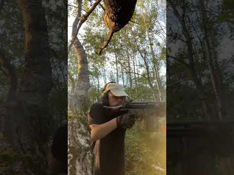 CETME .308 JAMS   #shorts