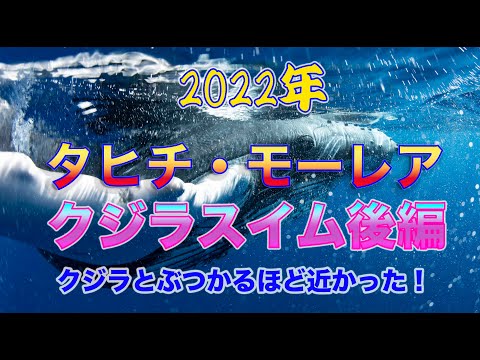 モーレア島 - 定義