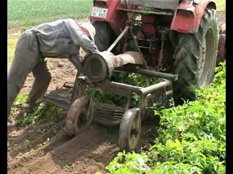 Nochmaaal - Auf dem Bauernhof - Kartoffeln