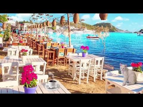 Outdoor Seaside Coffee Shop Ambience With Summer BOSSA NOVA & Wave Sounds for Relaxation