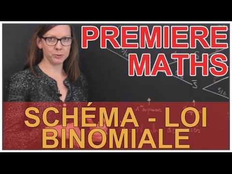 Binomial Law - Example with a diagram - First year Maths - Les Bons Profs
