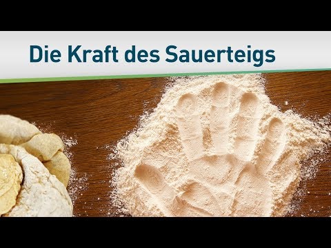 Die Kraft des Sauerteigs – Bayless Conley