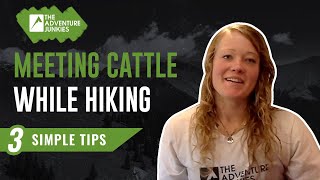 3 SIMPLE Tips - Encountering Cattle In The Backcountry