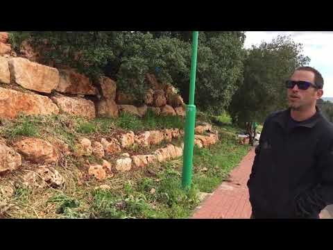 טיפול בעשבייה בשטחים פתוחים קיבוץ יפתח