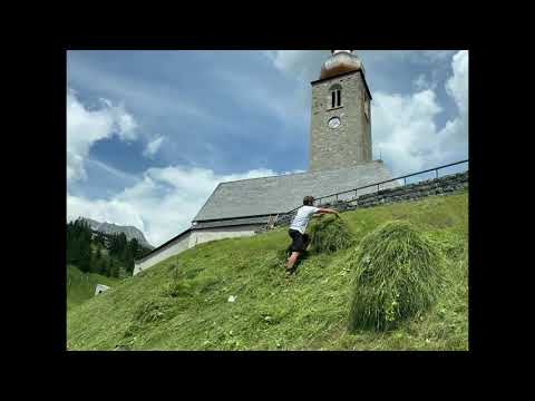 KW 29/2020 - Bauhof 60 Sekunden - Der Wochenrückblick