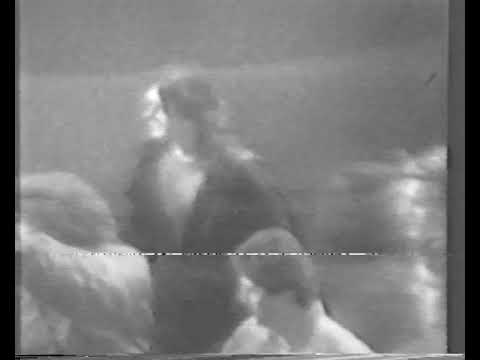 Demonstrace za lepší životní prostředí 11.–13. 11. 1989