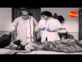 Miss Mary 1972 Full Malayalam Movie Adoor Bhasi Prem Nazir Malayalam Movies
