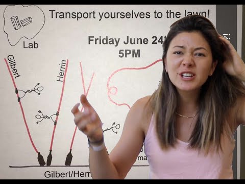 We solved a mystery [VLOG #20]