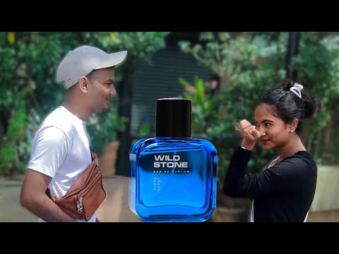 Is Wild Stone Samar REALLY Better in 2024