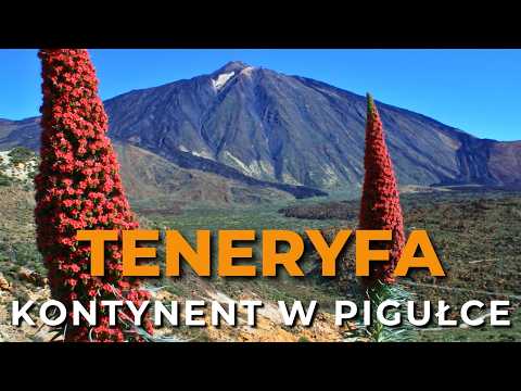 Teneryfa - kontynent w pigułce - najważniejsze atrakcje wyspy