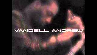 Vandell Andrew  -  Walk My Way