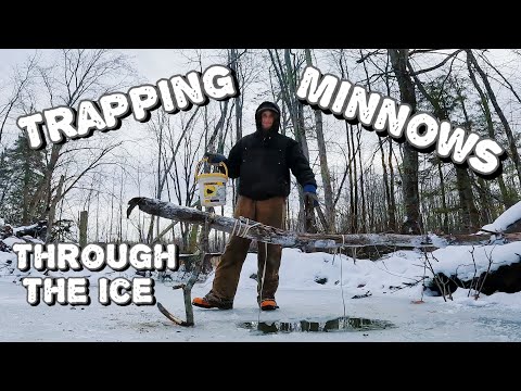 Trapping some minnows for bait through the ice ￼