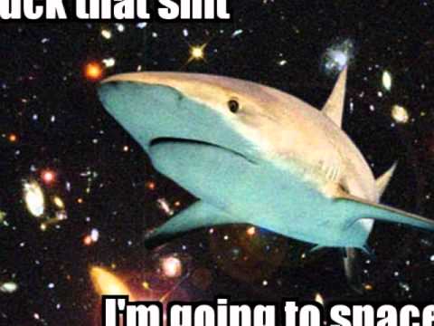 Rosa parks went to crazy town - D.Veloped