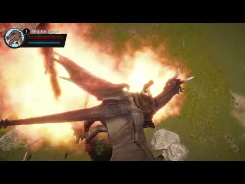 Dragon Ark: Train Your Dragons