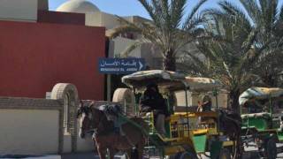 Delora Bueno - Upa Upa Meu Trolinho