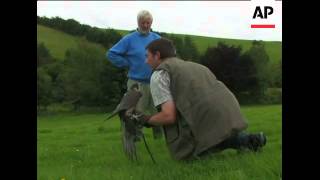 Hunting with birds of prey