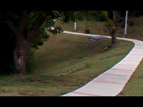 Mongoose on the Loose