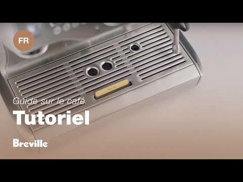 miniature vidéo