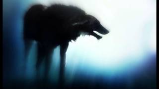 Luna Obscura - The burden of solitude