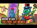 The First Cat Memes History Of Cats 3 World History Extra History