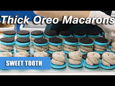 Tokyo's Everything Macaron Shop