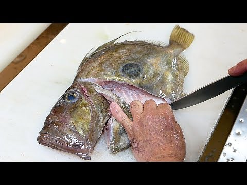 download lagu mp3 mp4 Fresh John Dory, download lagu Fresh John Dory gratis, unduh video klip Fresh John Dory