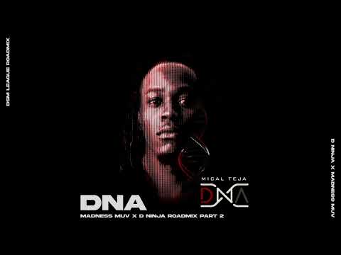 Mical Teja - DNA (Madness Muv X D Ninja Roadmix Part 2) (144bpm) (Soca 2024)