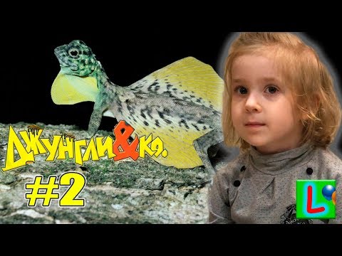 Deagostini ДЖУНГЛИ и КО МАКСИ ЛЕТУЧИЙ ДРАКОН Деагостини LISKA SHOW UNPACKING #2