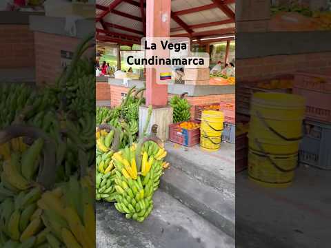 La Vega, el Tesoro verde cerca a Bogotá #fypシ #youtubeshorts #travel #viral #colombia #lavega #fy