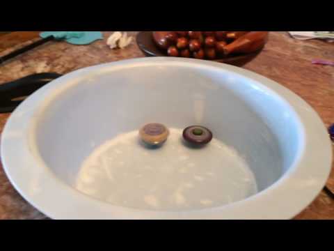 Beyblade burst vs Metal Fusion